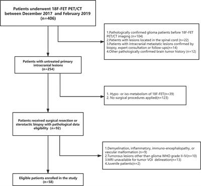 Integrated CT Radiomics Features Could Enhance the Efficacy of 18F-FET PET for Non-Invasive Isocitrate Dehydrogenase Genotype Prediction in Adult Untreated Gliomas: A Retrospective Cohort Study